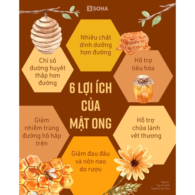 Mật Ong Hoa Rừng 100% Nguyên Chất Chai 1L (1.5kg) - Đặc sản rừng A Ma Thuột [ Tặng Nấm Linh Chi ]