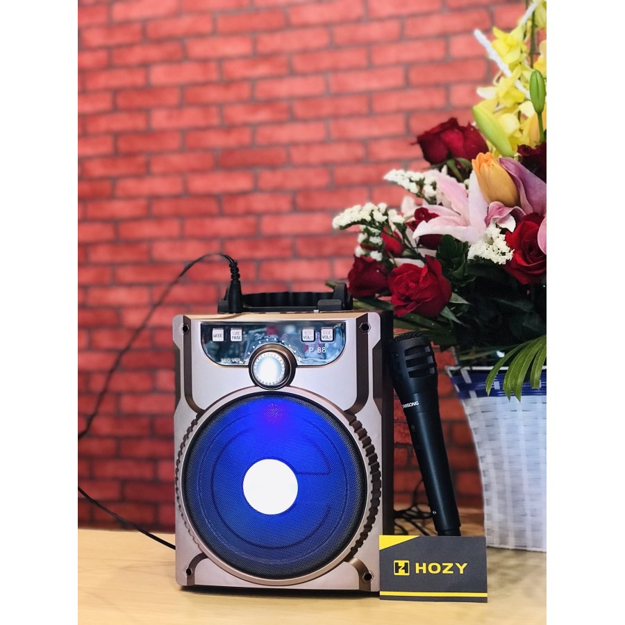 LOA BLUETOOTH P88 NGHE NHẠC HÁT KARAOKE ÂM THANH SIÊU BASS - LOA KẸO KÉO CÔNG SUẤT LỚN TẶNG KÈM 1 MICRO TRỊ GIÁ 150K