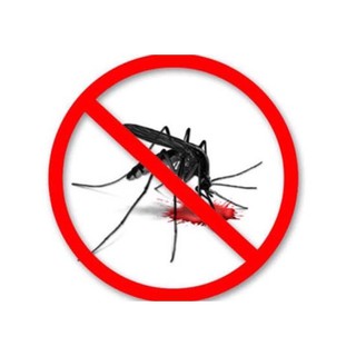 Tinh dầu sả java đuổi muỗi, đuổi kiến, lau sàn