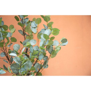 Cây bạch đàn trang trí cao 130cm - LC3050