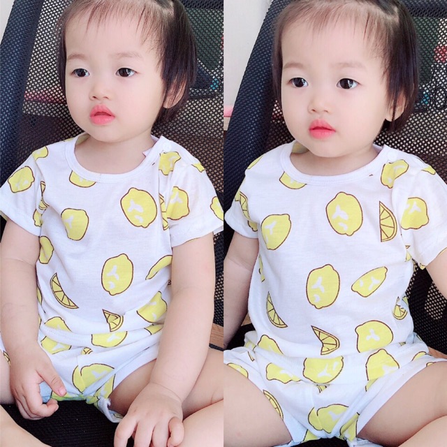 Sĩ bộ cotton 2c