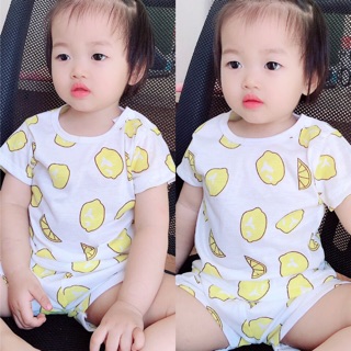 Sĩ bộ cotton 2c