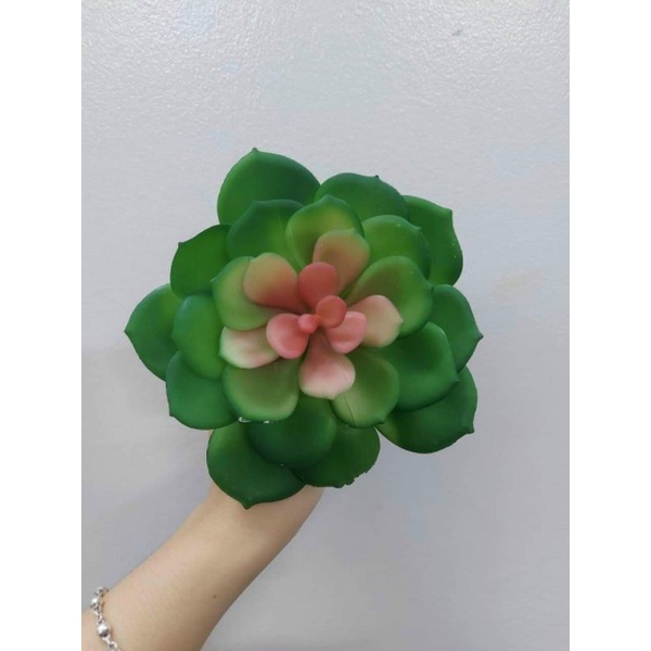 sen đá giả mã 01 tặng kèm chậu