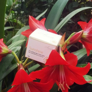 Kem dưỡng ngày chống nắng Sunshine