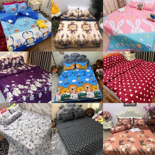 Set Chăn ga gối  cotton POLY