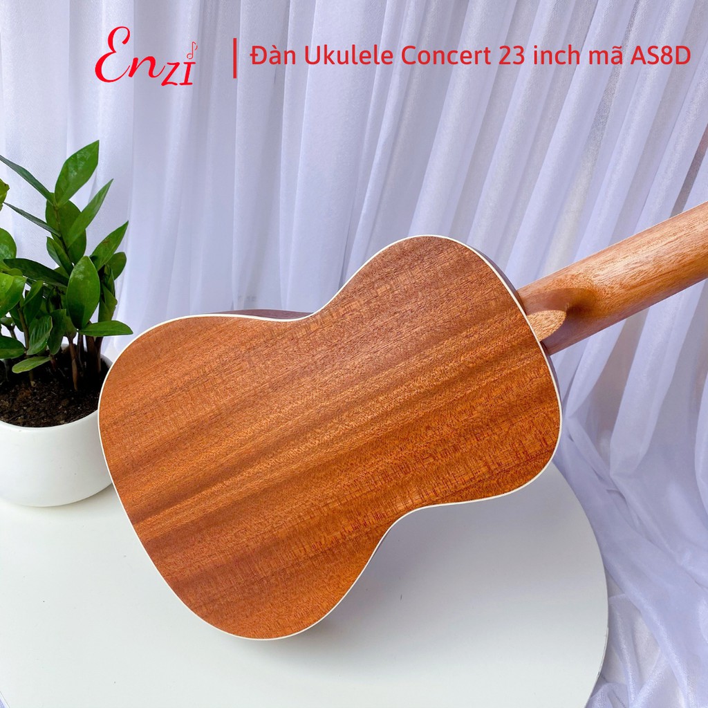 Đàn ukulele concert AS8D Enzi 23 inch gỗ mộc viền tròn khóa đúc giá rẻ cho bạn mới bắt đầu tập chơi