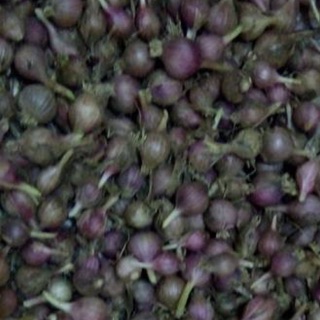 Tỏi cô đơn Phù Yên -Sơn La 2kg hạn sử dụng 1/2024