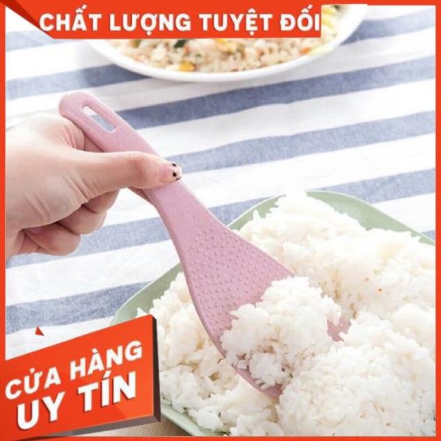 New - Muỗng thìa xới cơm lúa mạch