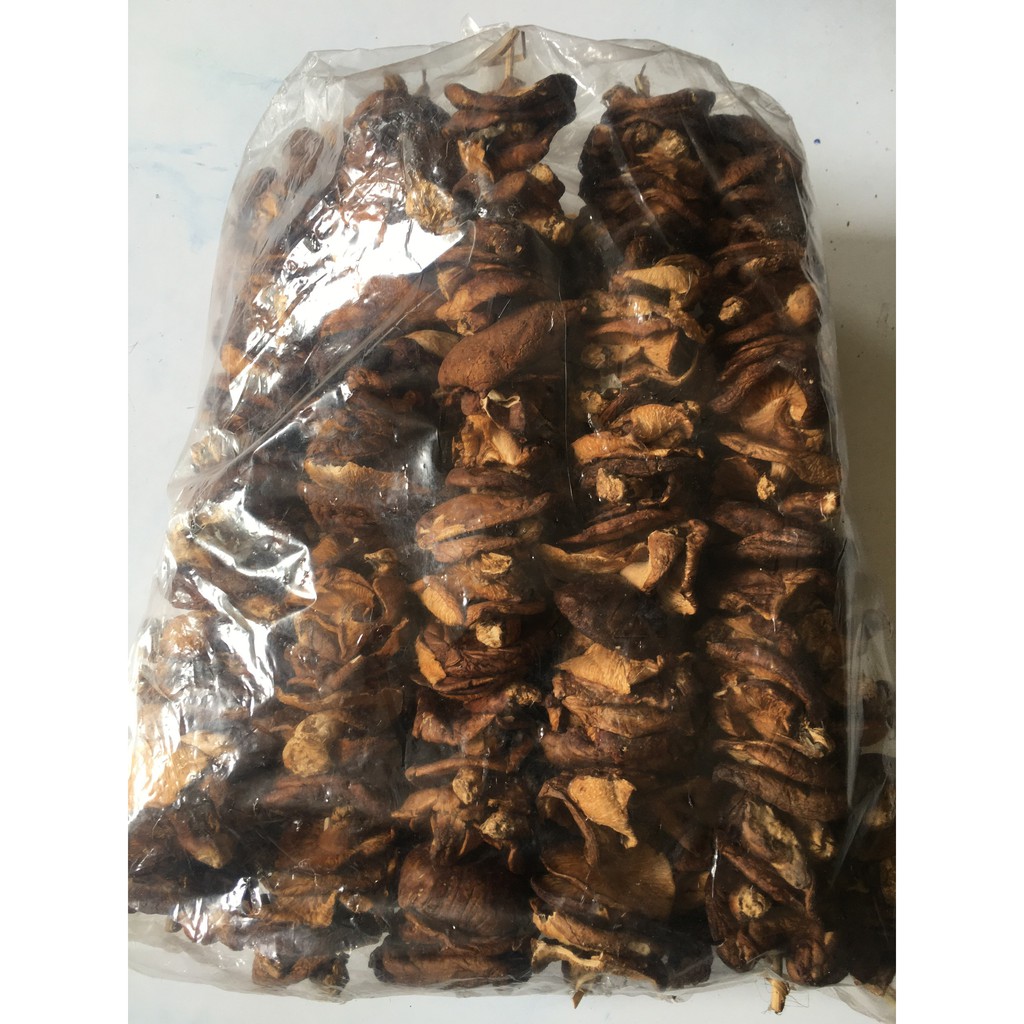 Nấm Hương Rừng