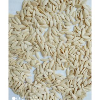 Gói 100 hạt giống dưa chuột chùm baby