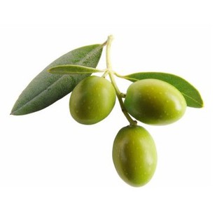 Dầu Olive Cocoon 100ml