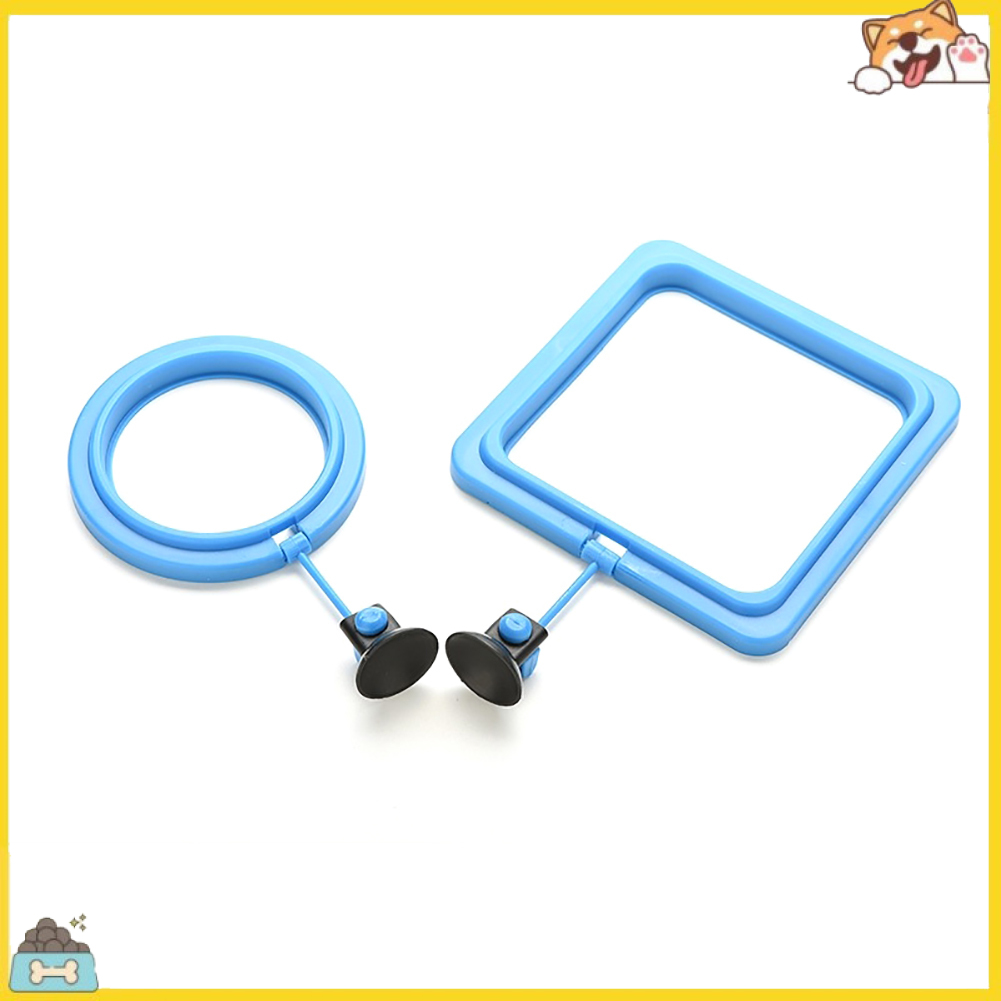 Phao nổi cho cá ăn tiện lợi chuyên dùng