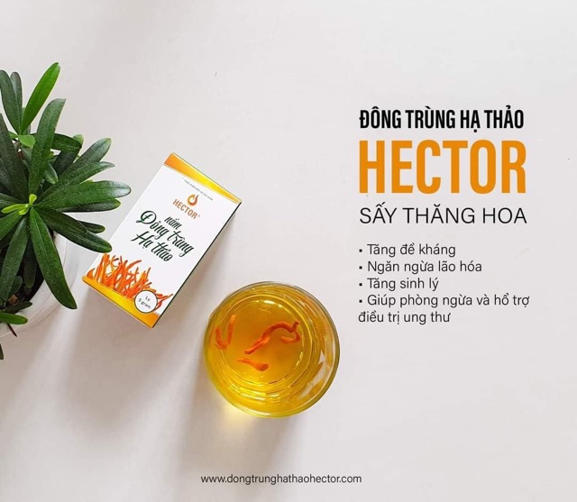 Đông trùng hạ thảo Hector sấy thăng hoa 5gram/lọ