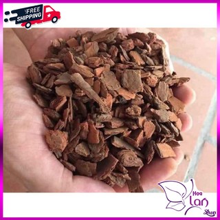 Vỏ Thông Trồng Lan ⚜️FREESHIP⚜️ Vụn Ngô - Giá Thể Trên Mặt Chậu, Túi 500G  [ Loại Đẹp ]