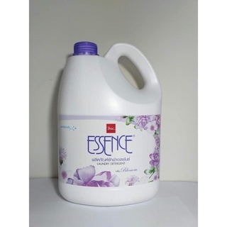nước giặt essence