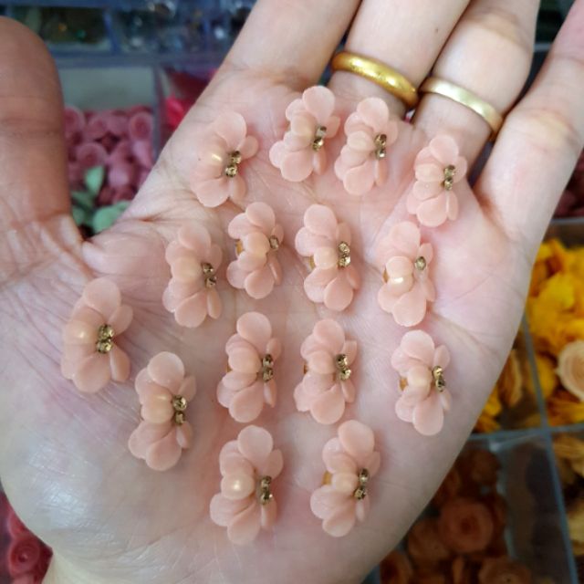 Hoa bột, hoa cúc( gạt ảnh chọn màu)