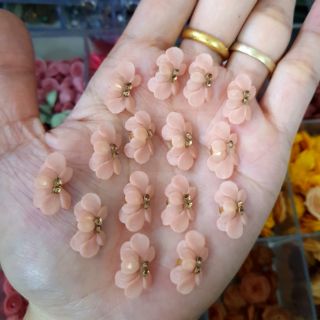 Hoa bột, hoa cúc