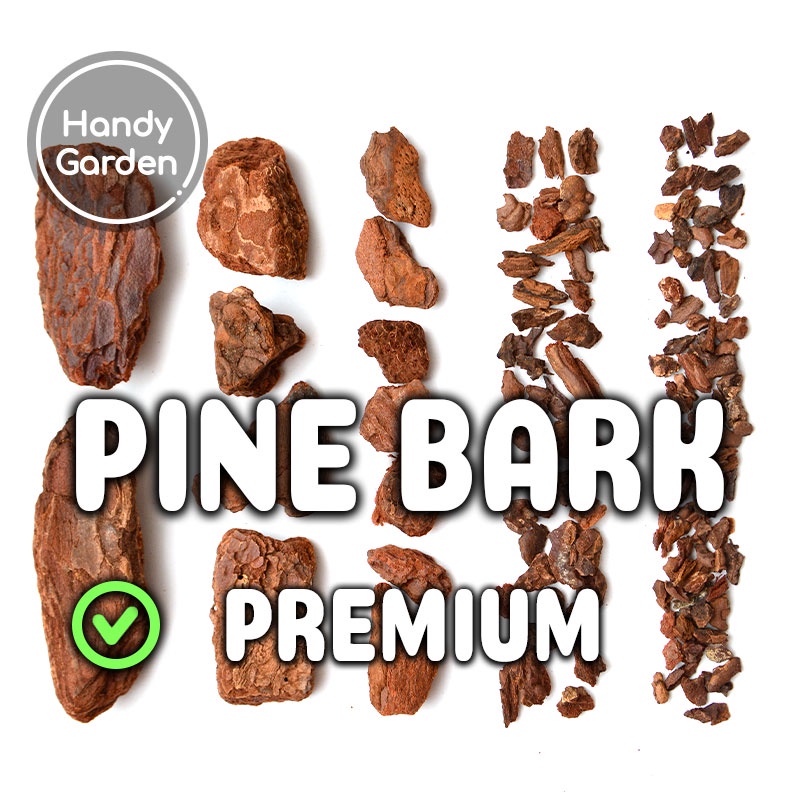 1dm³ Vỏ Thông Premium Ocean Pine Bark Indonesia, nhiều size 2-5mm 5-10mm 10-20mm 20-30mm 30-50mm | Handy Garden