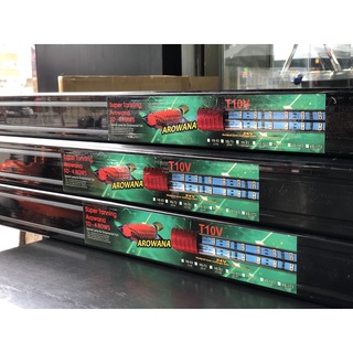 Đèn-Led-T10-5D4Row-SuperTanning