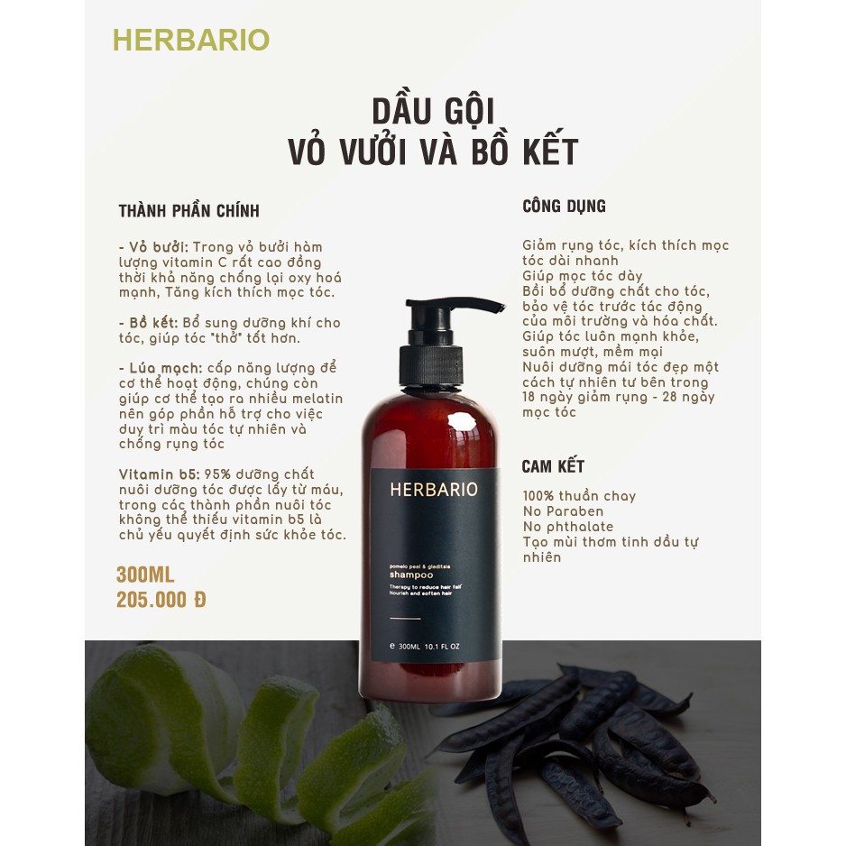 Combo dầu gội Herbario 300ml và serum vỏ bưởi, bồ kết Herbario 30ml