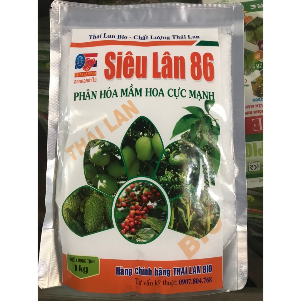 SIÊU LÂN 86 hoa 89 CHUYÊN SỬ LÝ RA HOA TRÁI VỤ 1 kg