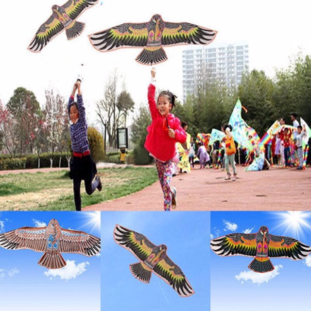 Diều hình đại bàng nhỏ