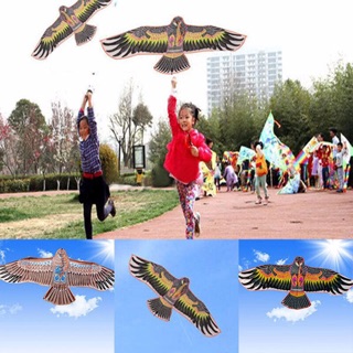 Diều hình đại bàng nhỏ