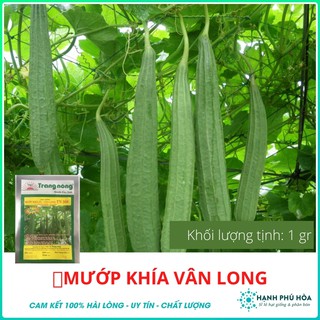 Hạt giống Mướp Khía Vân Long-1gr Trang Nông -Tỉ Lệ Nảy Mầm Cao, Thu Hoạch Quanh Năm, Ăn Ngon Ngọt, Tốt Cho Sức Khỏe