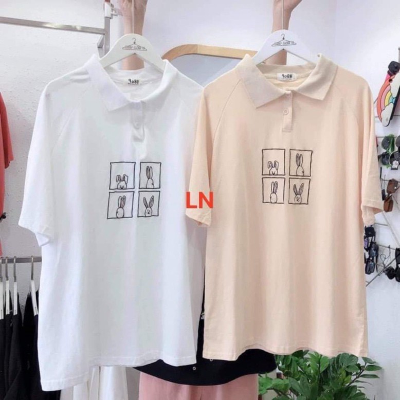 Áo polo bốn ô vuông con thỏ LN0521