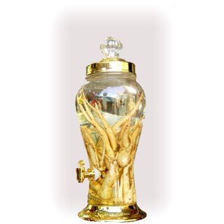 Bình bầu ngâm rượu thuỷ tinh 3 lít - 6.2 lít có vòi