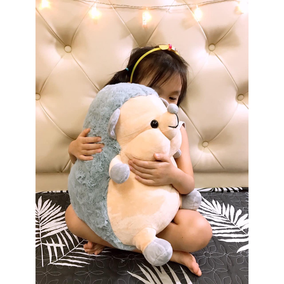 Gối gấu bông nhím  xinh  xám có kèm chăn 3in1 siêu mền mịn