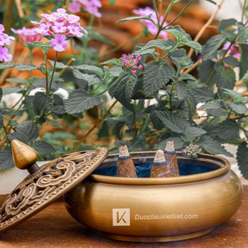 Nụ thảo mộc xông nhà Vietket