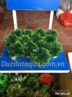Cây hoa cỏ nhựa cao cấp