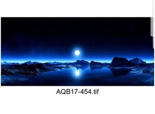 TRANH 3D CHO BỂ CÁ CẢNH KT 120x50