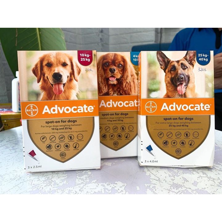 Nhỏ Gáy Trị Ký Sinh Chó Advocate(từ 4-10kg)