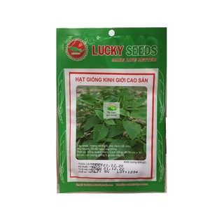 Hạt giống rau kinh giới