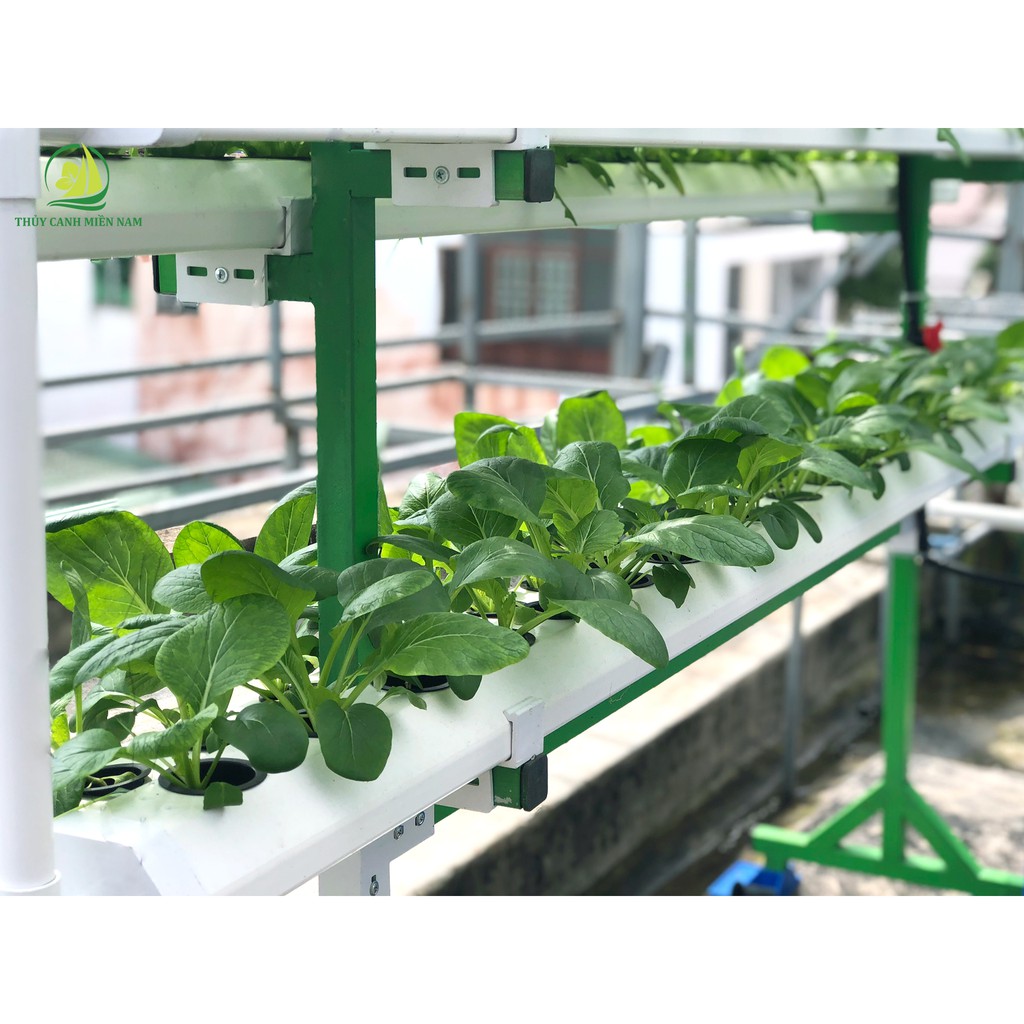 BỘ TRỒNG RAU THUỶ CANH THÔNG MINH TẠI NHÀ - GIÀN SOLE 60 LỖ