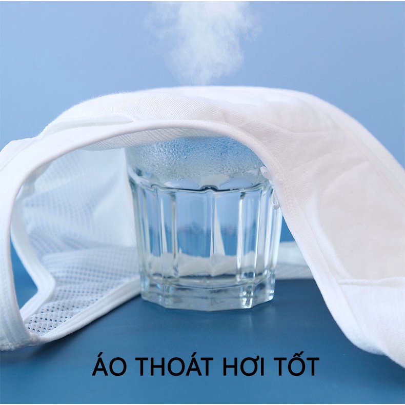 Mẫu Áo Lá Cotton Có Đệm Mút Cho Bé Gái Đi Học