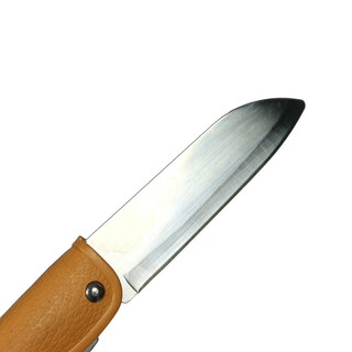 Dao gấp gọt hoa quả