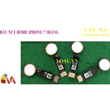 NÚT HOME IPHONE 7 PLUS, ZIN, ĐẸP, CHẤT LƯỢNG