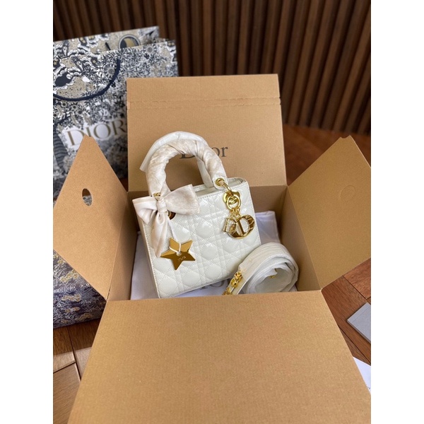 TÚI DIOR LADY SIZE 20CM