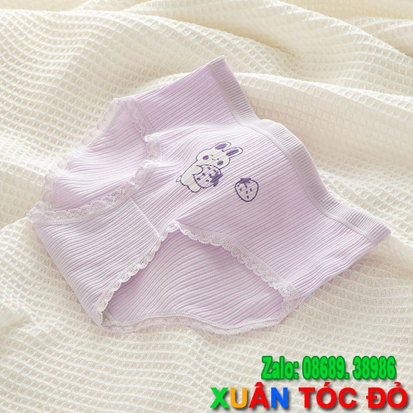 [Mã WASTDEP giảm 5K đơn bất kì] SỈ ZALO RẺ HƠN NHIỀU_ Lót 5 Kiểu Thỏ Tím Dâu Tây 5091 | BigBuy360 - bigbuy360.vn