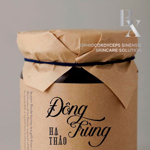 ĐTHT Bách Xuân (link dự phòng)