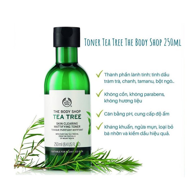 Toner cho da dầu mụn the body shop tea tree skin clearing mattifying toner