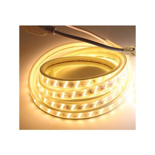 Đèn nháy / Led dây 2835 -3 hàng hắt trần/ Ánh sáng trắng, vàng / Giá bán theo 1M