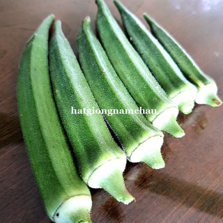1 KG - HẠT GIỐNG ĐẬU BẮP