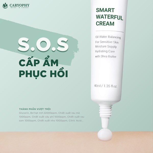 Kem dưỡng cấp nước và phục hồi da mụn Caryophy Smart Waterful Cream 40ml