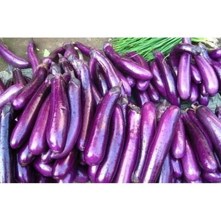 30 hạt giống cà tím dài