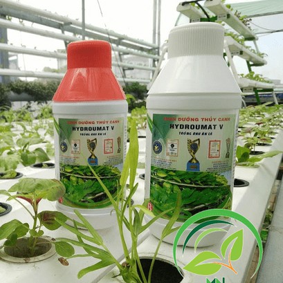 Bộ 2 chai dung dịch thuỷ canh cao cấp Hydro Umat V chai 500ml chuyên dùng cho rau ăn lá