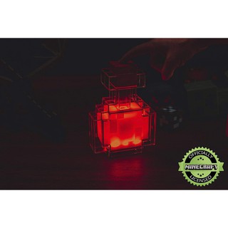 Bottle Minecraft Bình thuốc đổi màu
